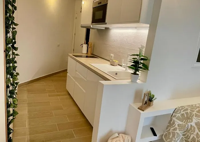 Inside The Wave B 타코론테